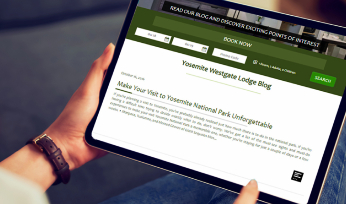 Custom Blog Publishing