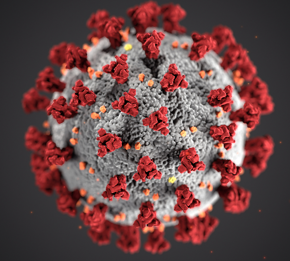 Stay Abreast of The Latest Coronavirus News