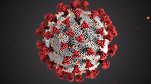 Coronavirus and Your Hotel